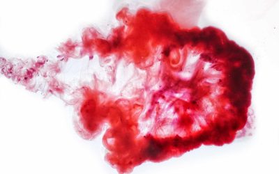I, Woman #4 – Her Blood Is Art